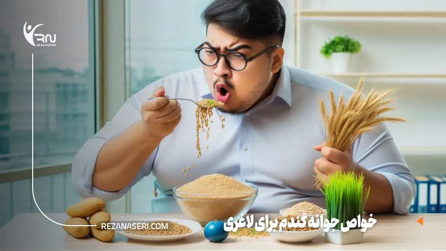 خواص جوانه گندم برای لاغری